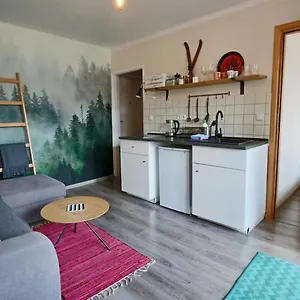 Apartament Bazatatry Słoneczny Ii Apartament Zakopane